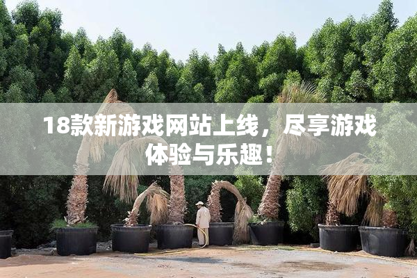 18款新游戏网站上线，尽享游戏体验与乐趣！