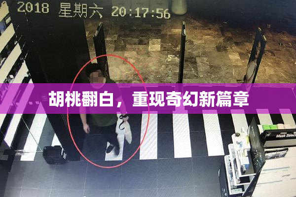 胡桃翻白，重现奇幻新篇章