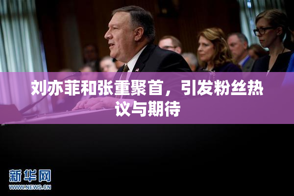 刘亦菲和张重聚首，引发粉丝热议与期待