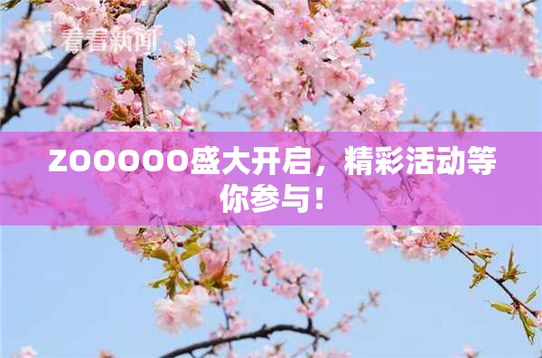 ZOOOOO盛大开启，精彩活动等你参与！