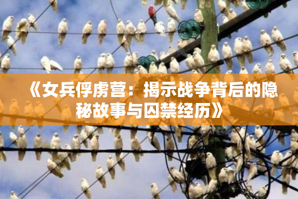 《女兵俘虏营：揭示战争背后的隐秘故事与囚禁经历》