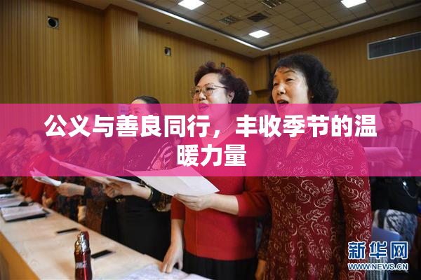公义与善良同行，丰收季节的温暖力量