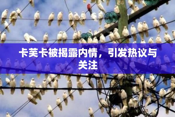 卡芙卡被揭露内情，引发热议与关注