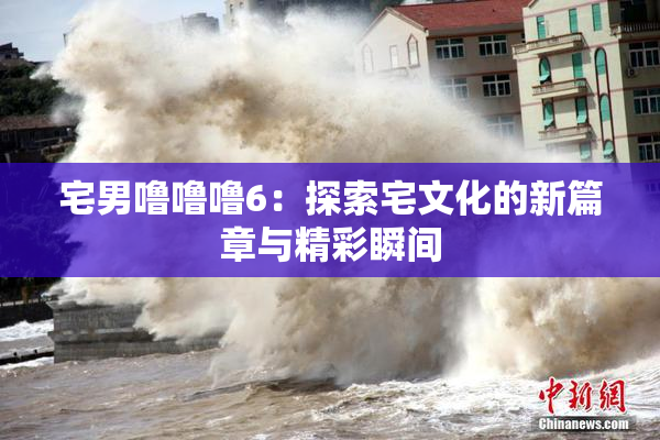 宅男噜噜噜6：探索宅文化的新篇章与精彩瞬间