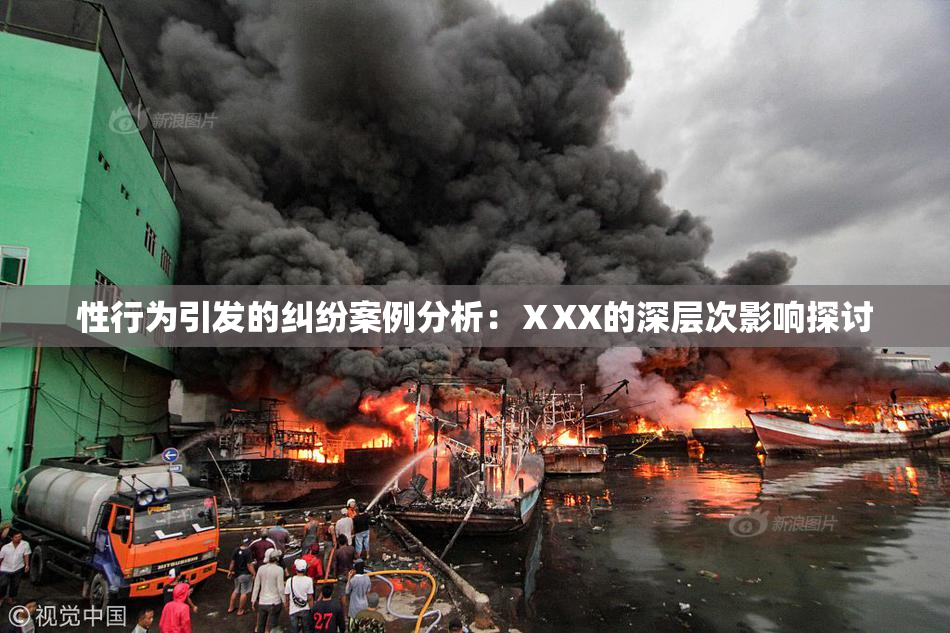 性行为引发的纠纷案例分析：ⅩXX的深层次影响探讨