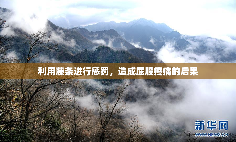 利用藤条进行惩罚，造成屁股疼痛的后果
