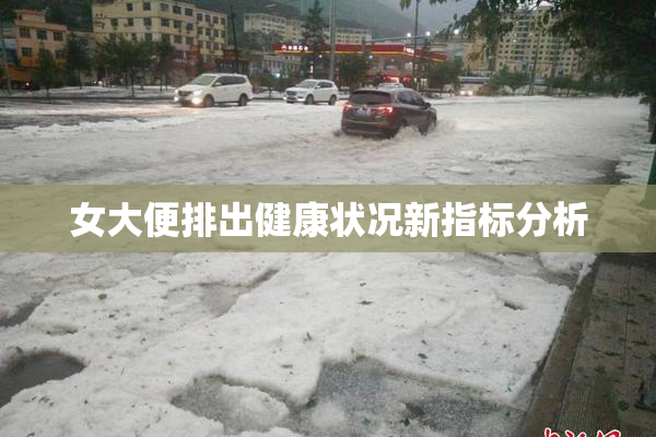 女大便排出健康状况新指标分析
