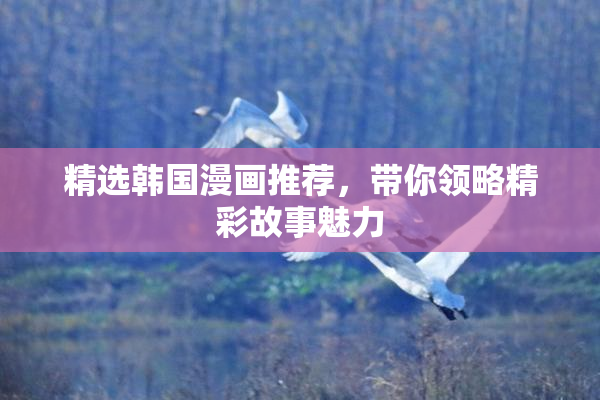精选韩国漫画推荐，带你领略精彩故事魅力