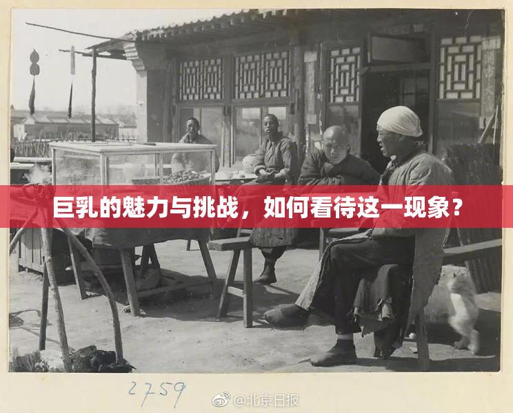 巨乳的魅力与挑战，如何看待这一现象？
