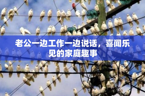 老公一边工作一边说话，喜闻乐见的家庭趣事