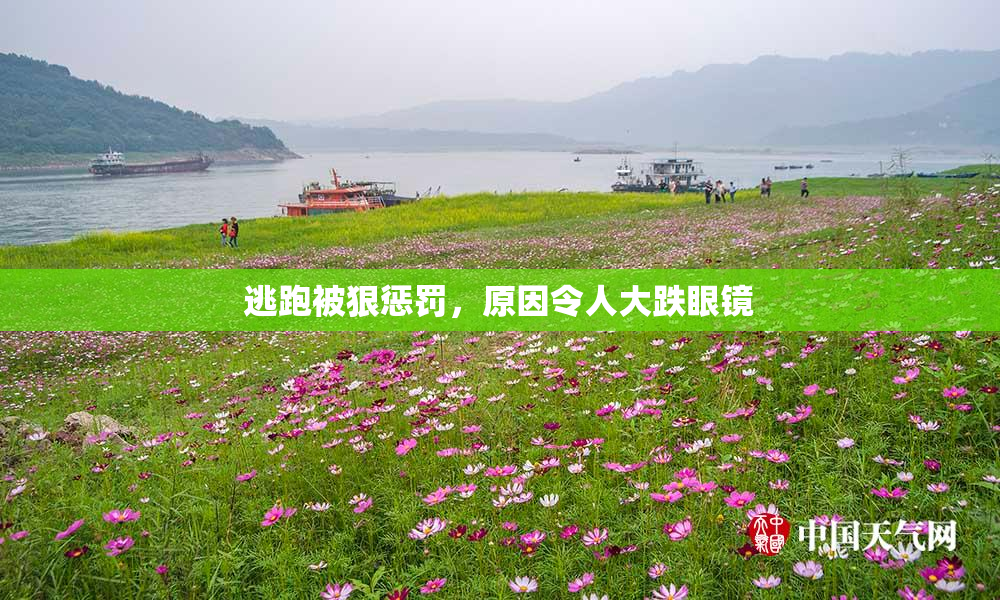 逃跑被狠惩罚，原因令人大跌眼镜