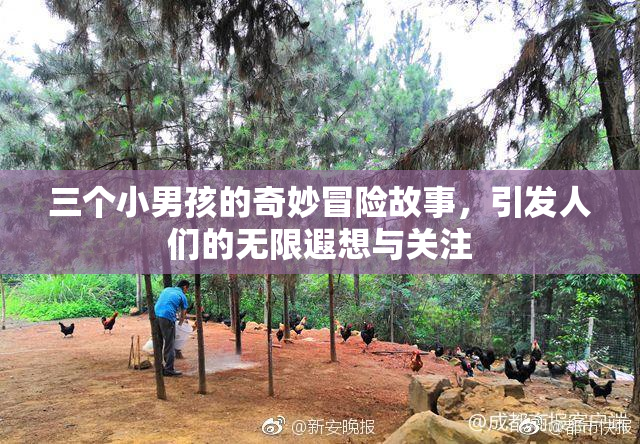 三个小男孩的奇妙冒险故事，引发人们的无限遐想与关注
