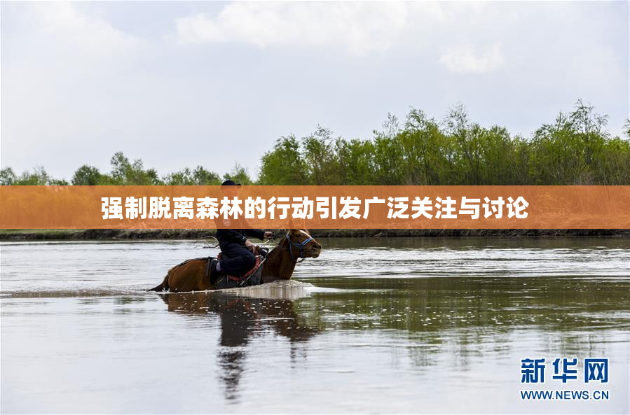 强制脱离森林的行动引发广泛关注与讨论