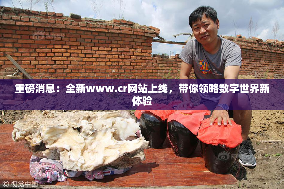 重磅消息：全新www.cr网站上线，带你领略数字世界新体验