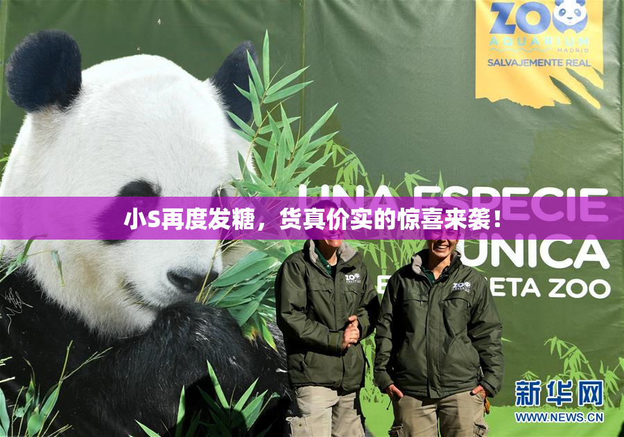 小S再度发糖，货真价实的惊喜来袭！