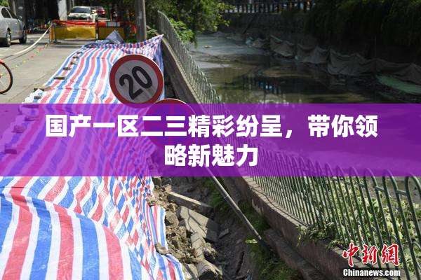 国产一区二三精彩纷呈，带你领略新魅力