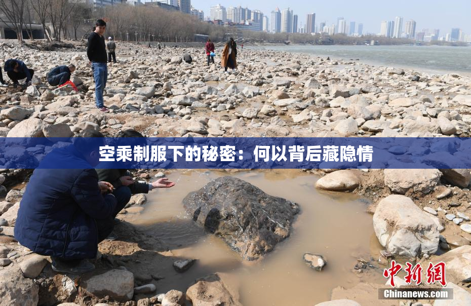 空乘制服下的秘密：何以背后藏隐情