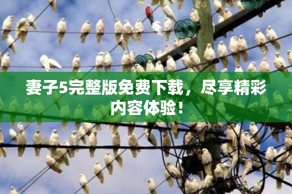 妻子5完整版免费下载，尽享精彩内容体验！