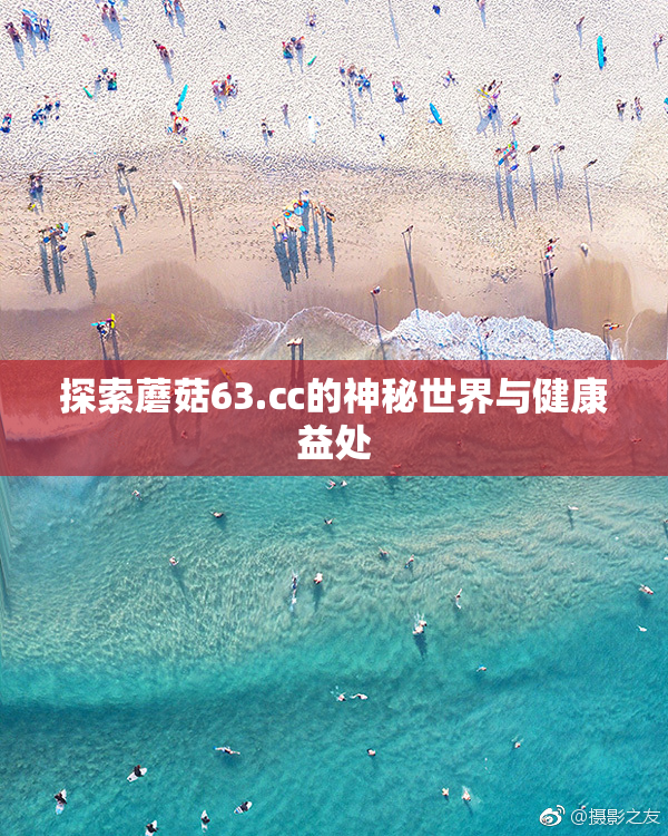 探索蘑菇63.㏄的神秘世界与健康益处