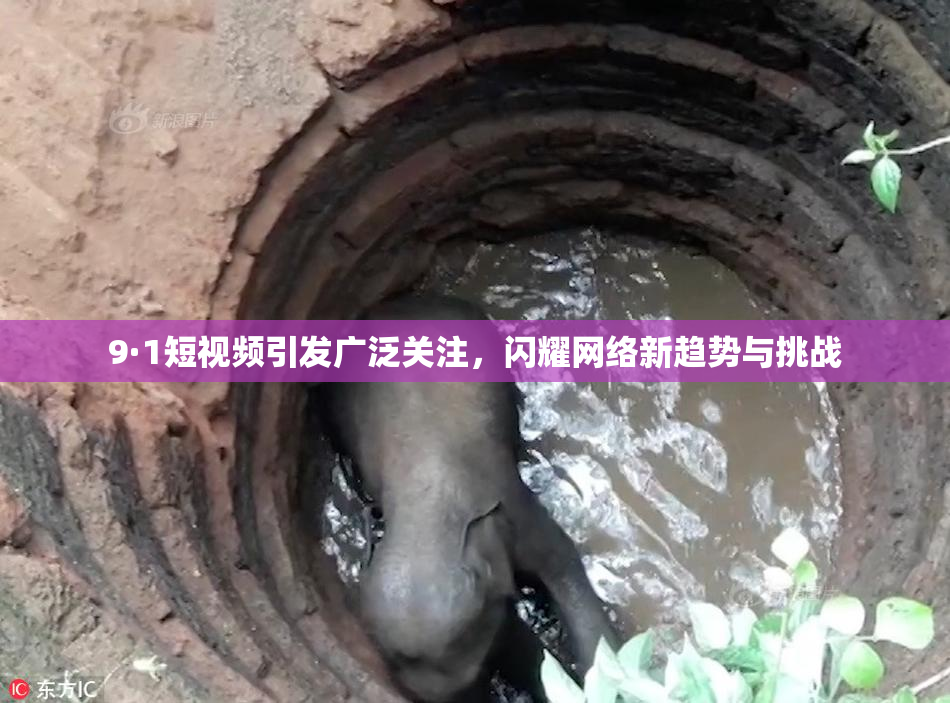 9·1短视频引发广泛关注，闪耀网络新趋势与挑战