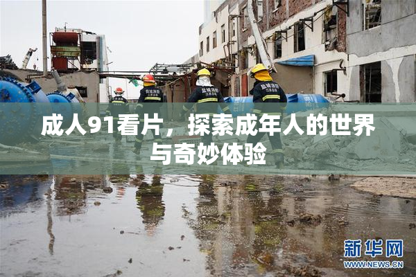 成人91看片，探索成年人的世界与奇妙体验