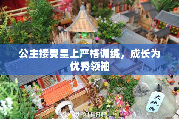 公主接受皇上严格训练，成长为优秀领袖