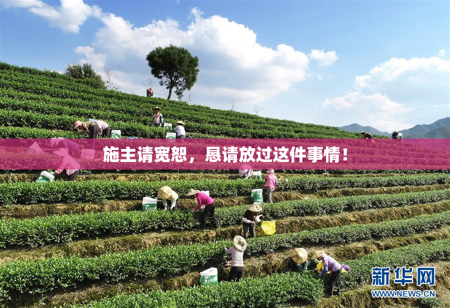 施主请宽恕，恳请放过这件事情！