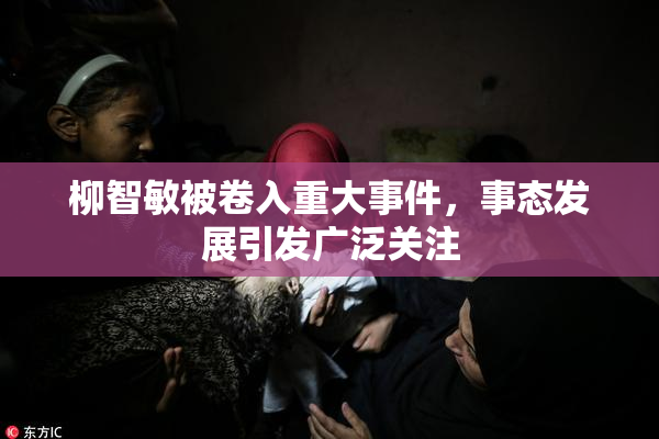 柳智敏被卷入重大事件，事态发展引发广泛关注