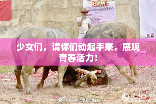 少女们，请你们动起手来，展现青春活力！