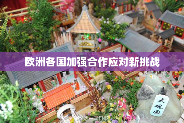 欧洲各国加强合作应对新挑战