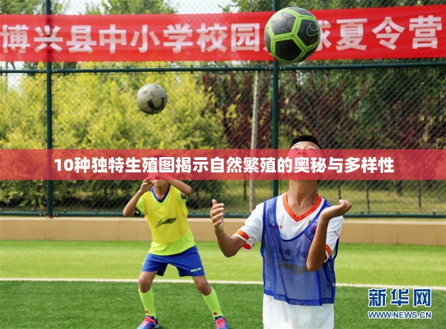 10种独特生殖图揭示自然繁殖的奥秘与多样性