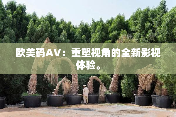 欧美码AV：重塑视角的全新影视体验。