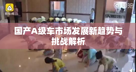 国产A级车市场发展新趋势与挑战解析