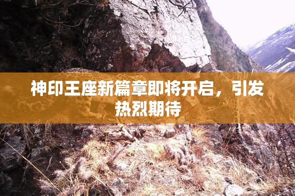 神印王座新篇章即将开启，引发热烈期待