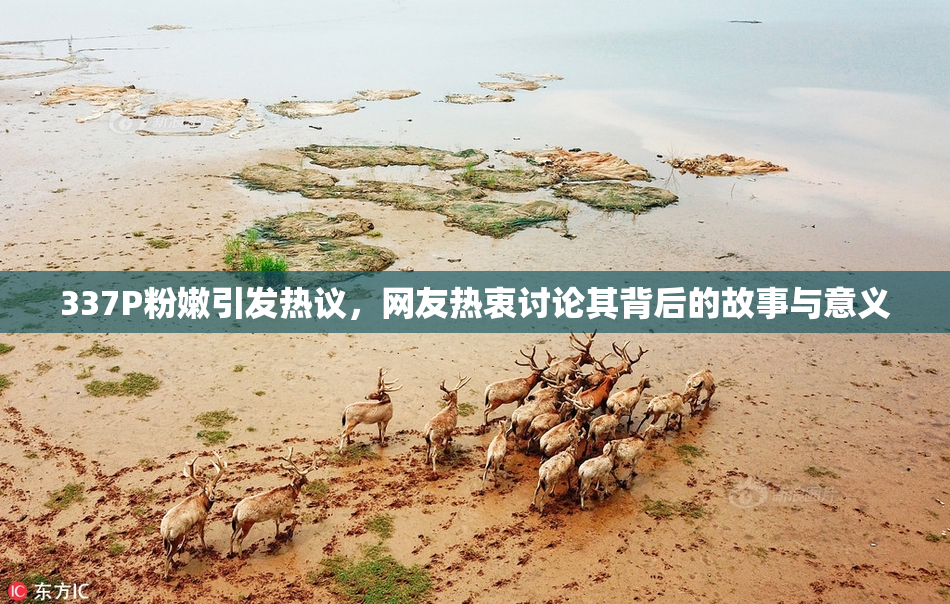 337P粉嫩引发热议，网友热衷讨论其背后的故事与意义