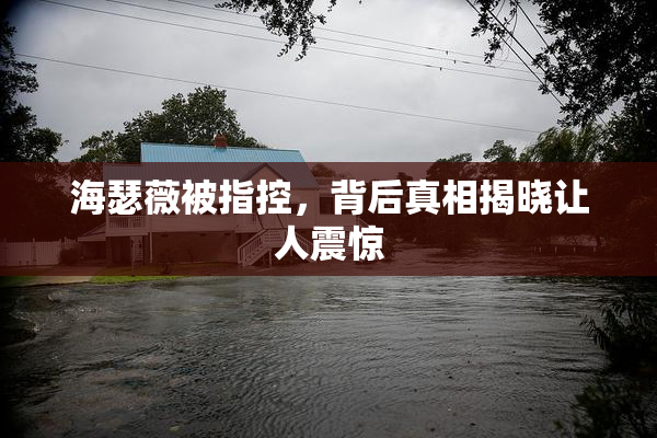 海瑟薇被指控，背后真相揭晓让人震惊