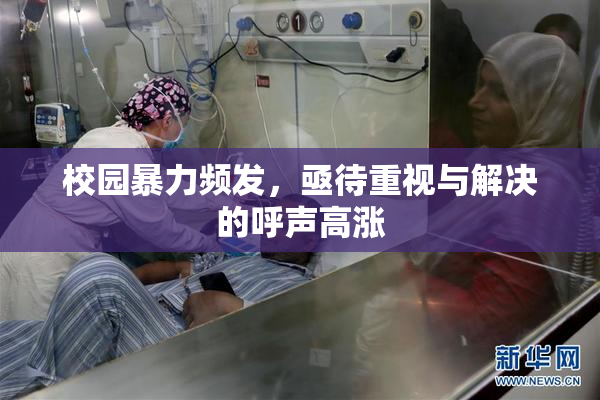 校园暴力频发，亟待重视与解决的呼声高涨