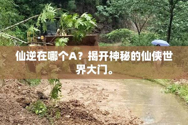 仙逆在哪个A？揭开神秘的仙侠世界大门。