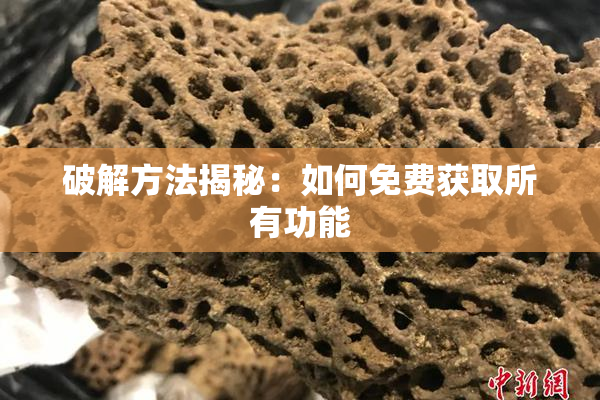 破解方法揭秘：如何免费获取所有功能