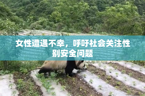 女性遭遇不幸，呼吁社会关注性别安全问题