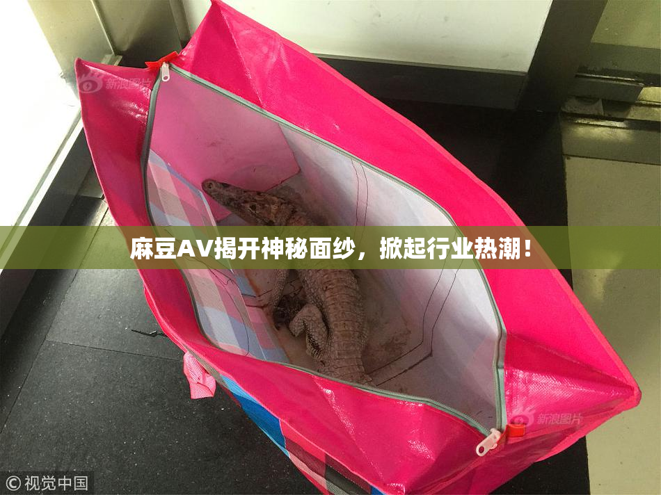 麻豆AV揭开神秘面纱，掀起行业热潮！