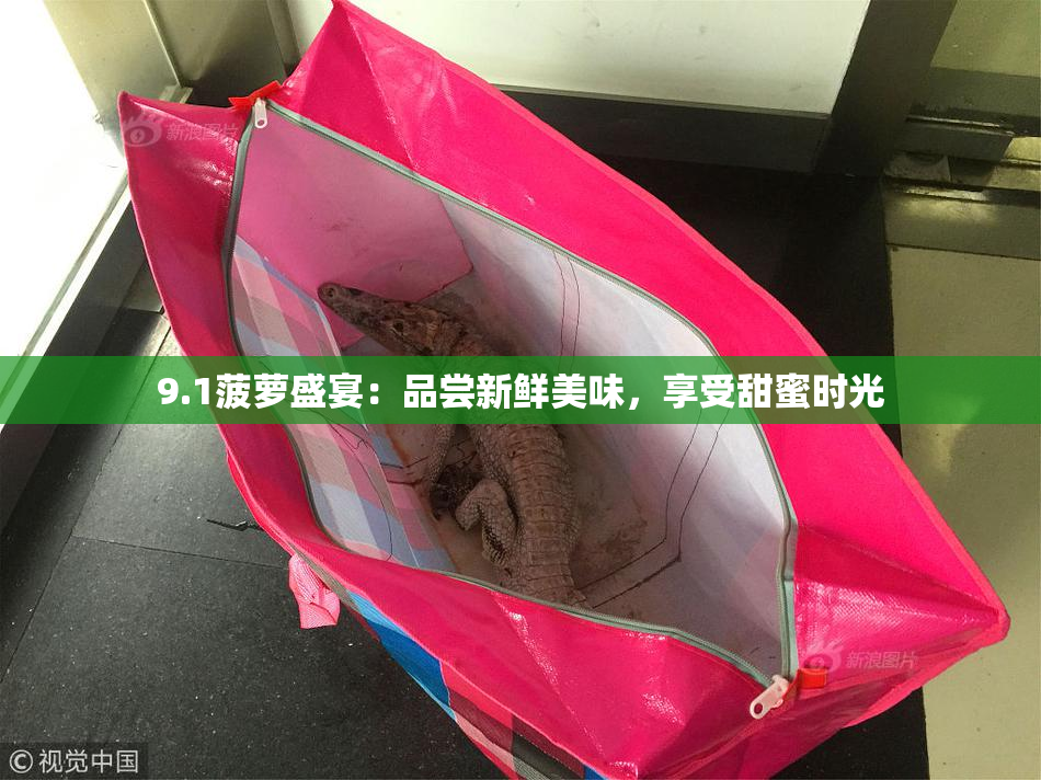 9.1菠萝盛宴：品尝新鲜美味，享受甜蜜时光