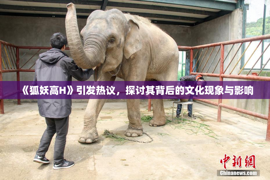 《狐妖高H》引发热议，探讨其背后的文化现象与影响