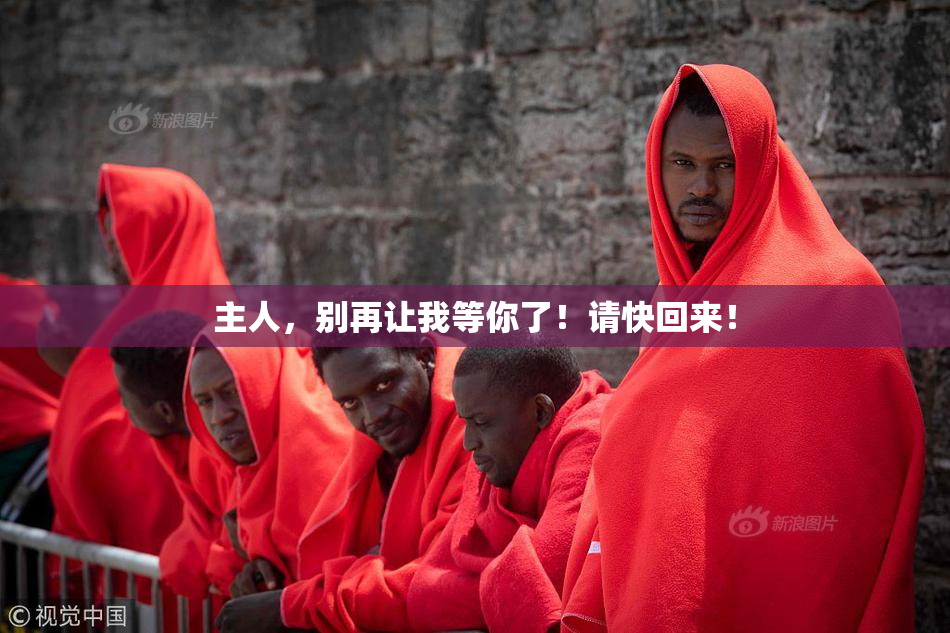主人，别再让我等你了！请快回来！