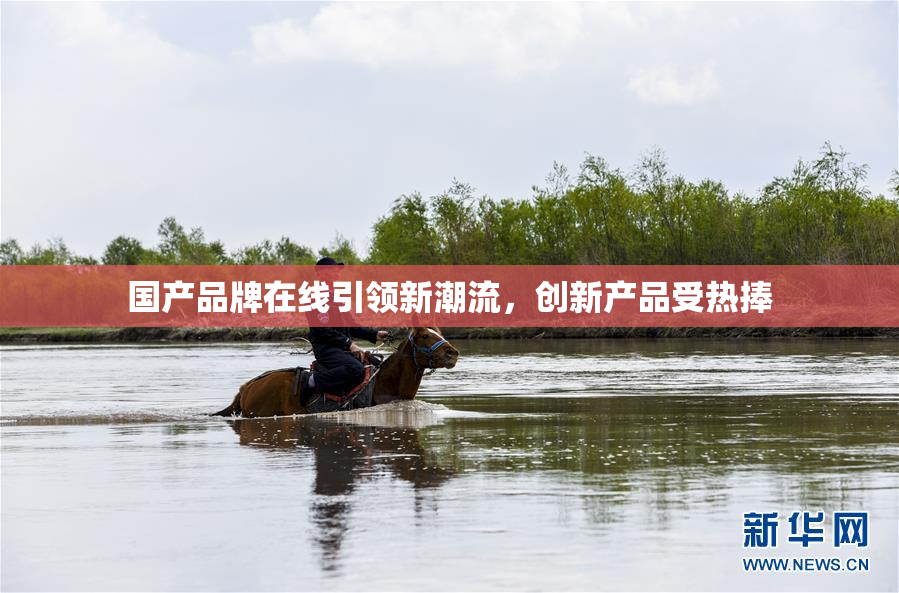 国产品牌在线引领新潮流，创新产品受热捧
