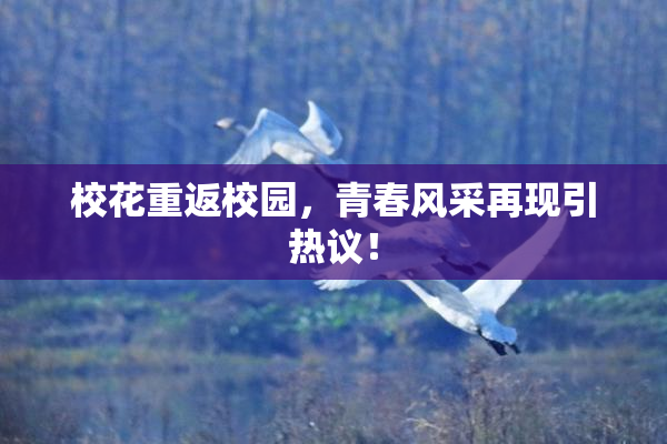 校花重返校园，青春风采再现引热议！