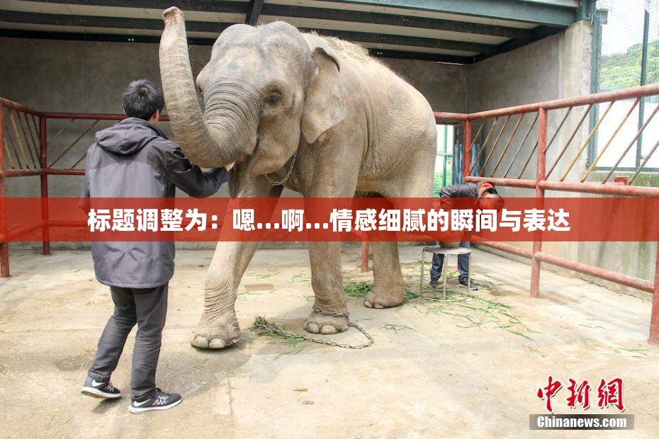 标题调整为：嗯…啊…情感细腻的瞬间与表达