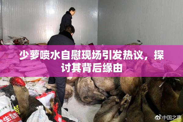 少萝喷水自慰现场引发热议，探讨其背后缘由