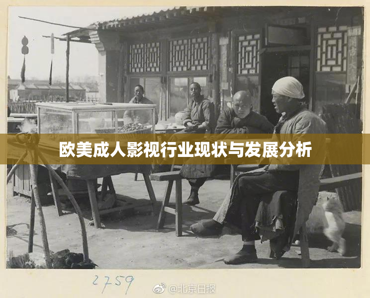 欧美成人影视行业现状与发展分析