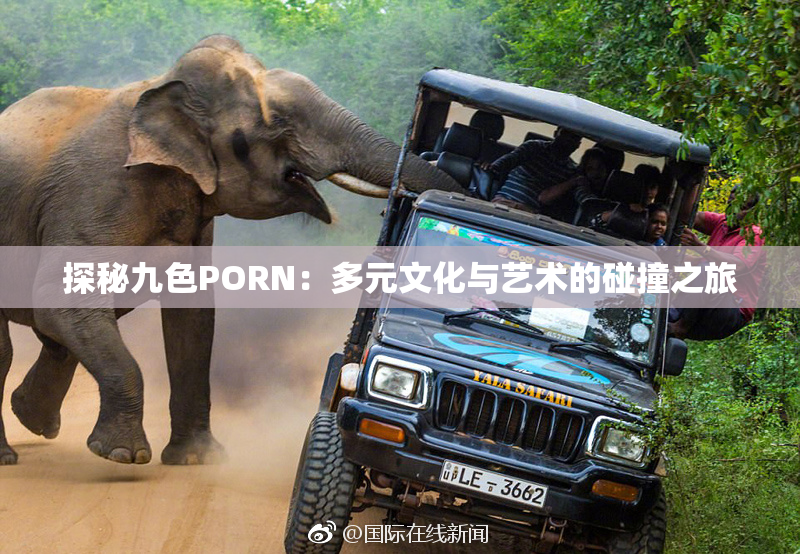 探秘九色PORN：多元文化与艺术的碰撞之旅